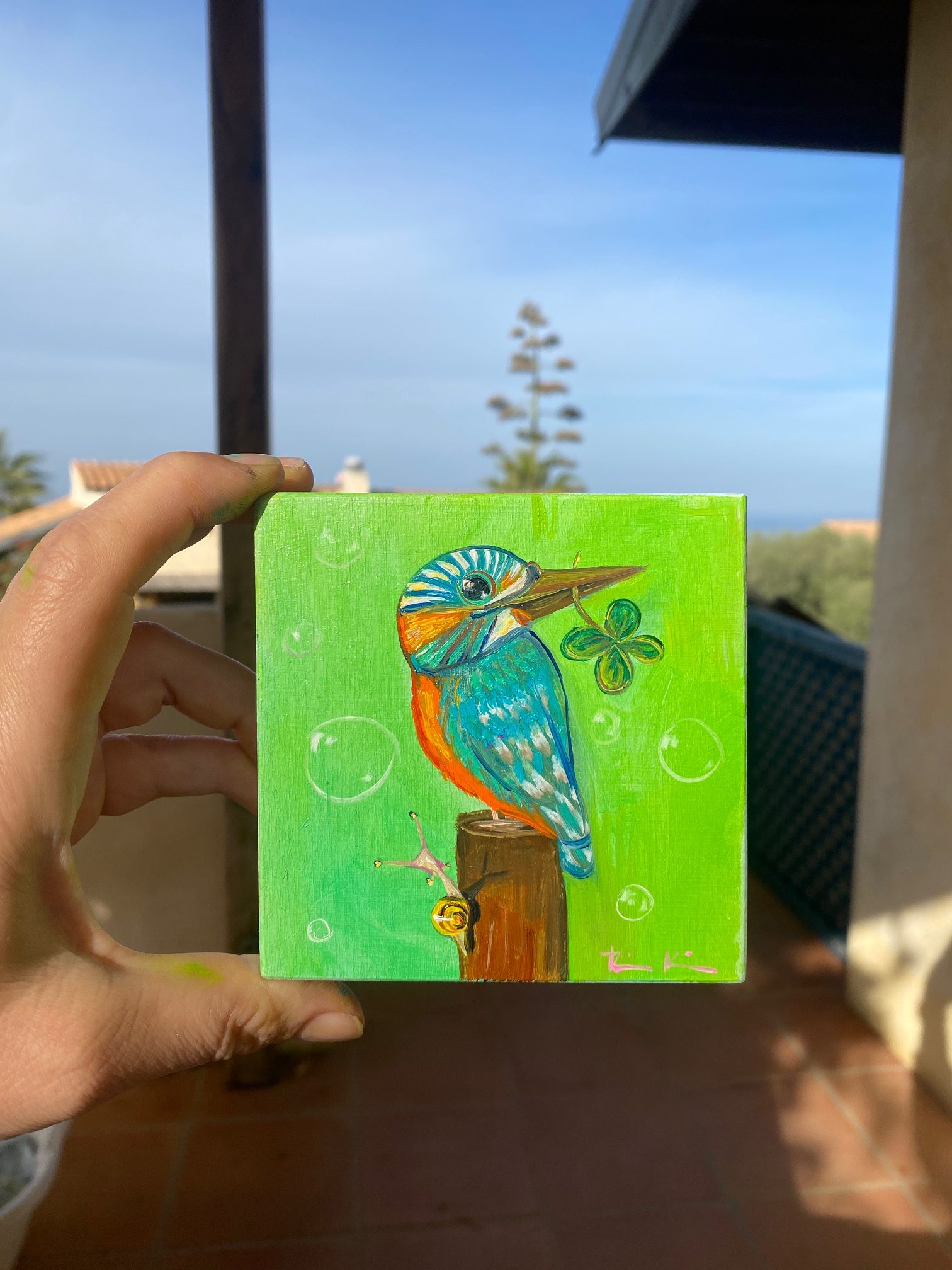 Eisvogel November 2025