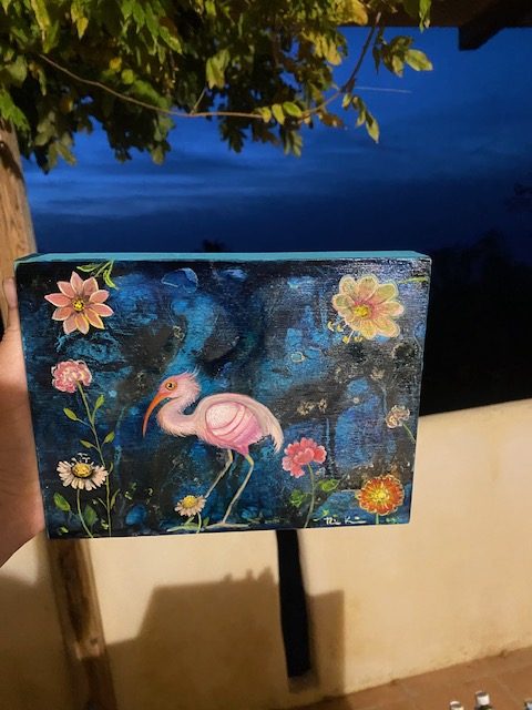 Rosa Ibis November 2025