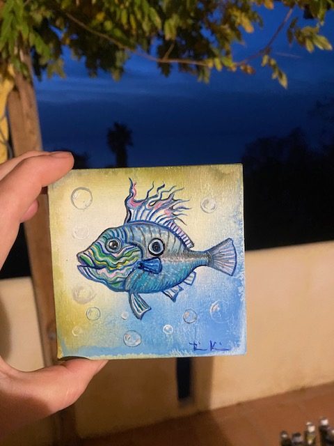 St. Petersfisch 2 November 2025