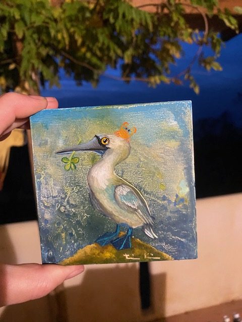 Blaufußtölpel November 2025