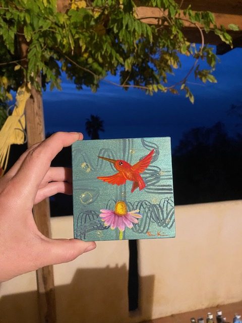 roter Kolibri November 2025