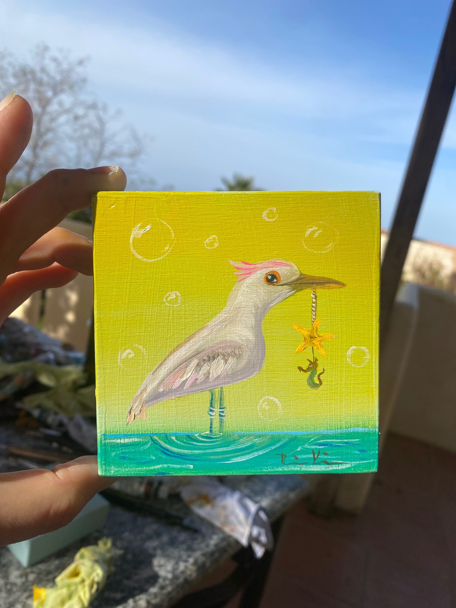 kleine Möwe November 2025