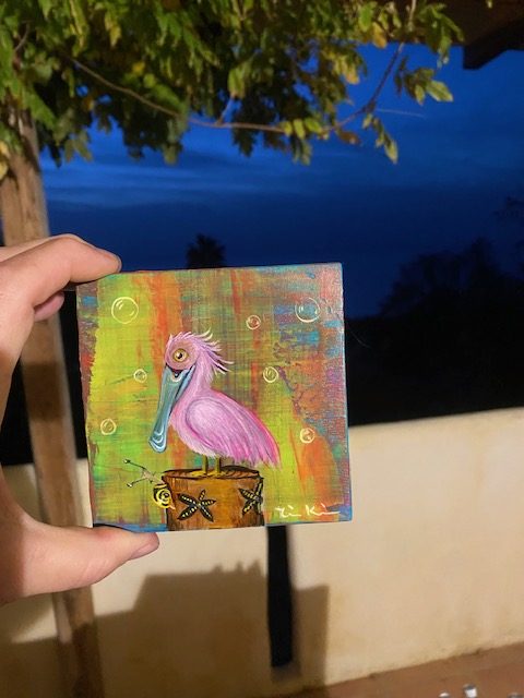 Rosalöffler November 2025