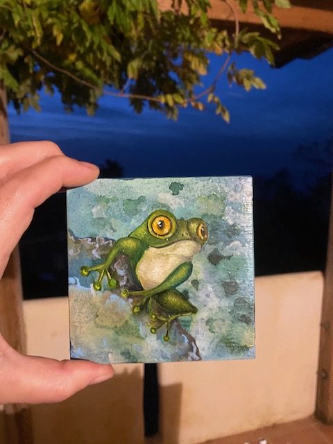 Frosch November 2025