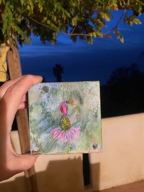 rosa Kolibri November 2025