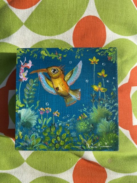 Paradisvogel Kolibri, Juni 2026