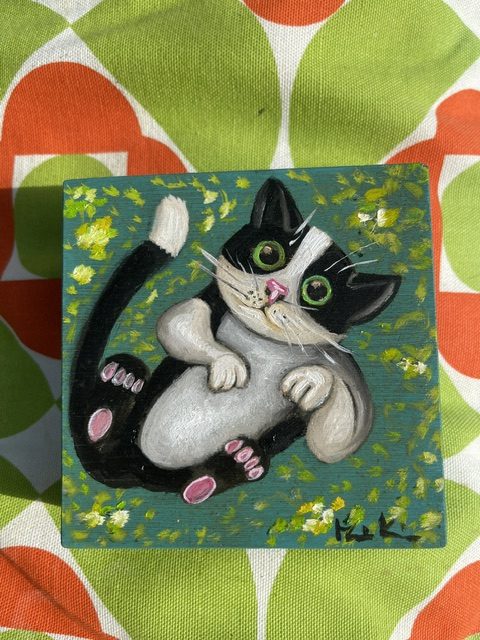 Kätzchen in der Blumenwiese, Katzenwoche 5, Juni 2026