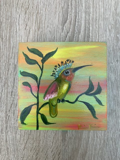 Paradiesvogel, Sonnenaufgang Sonnenuntergangserie, 2026